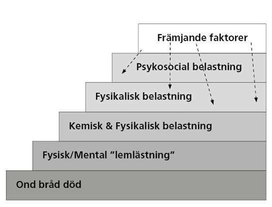 frisk och riskfaktorers påverkan på människors hälsa