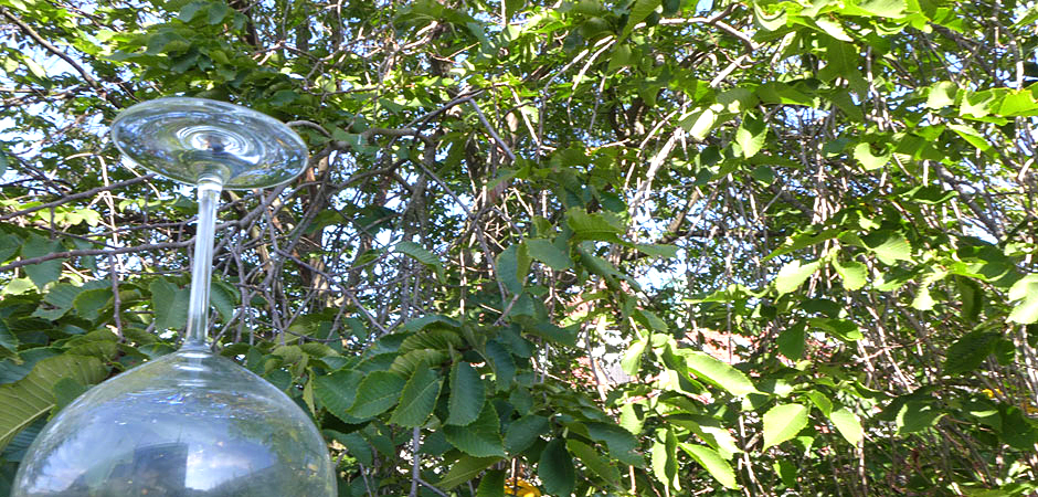 Ett upp och nedvänt vinglas framför en grön buske.