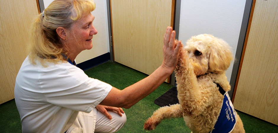 Anna klappar en hunds tass i ett upphöjt läge