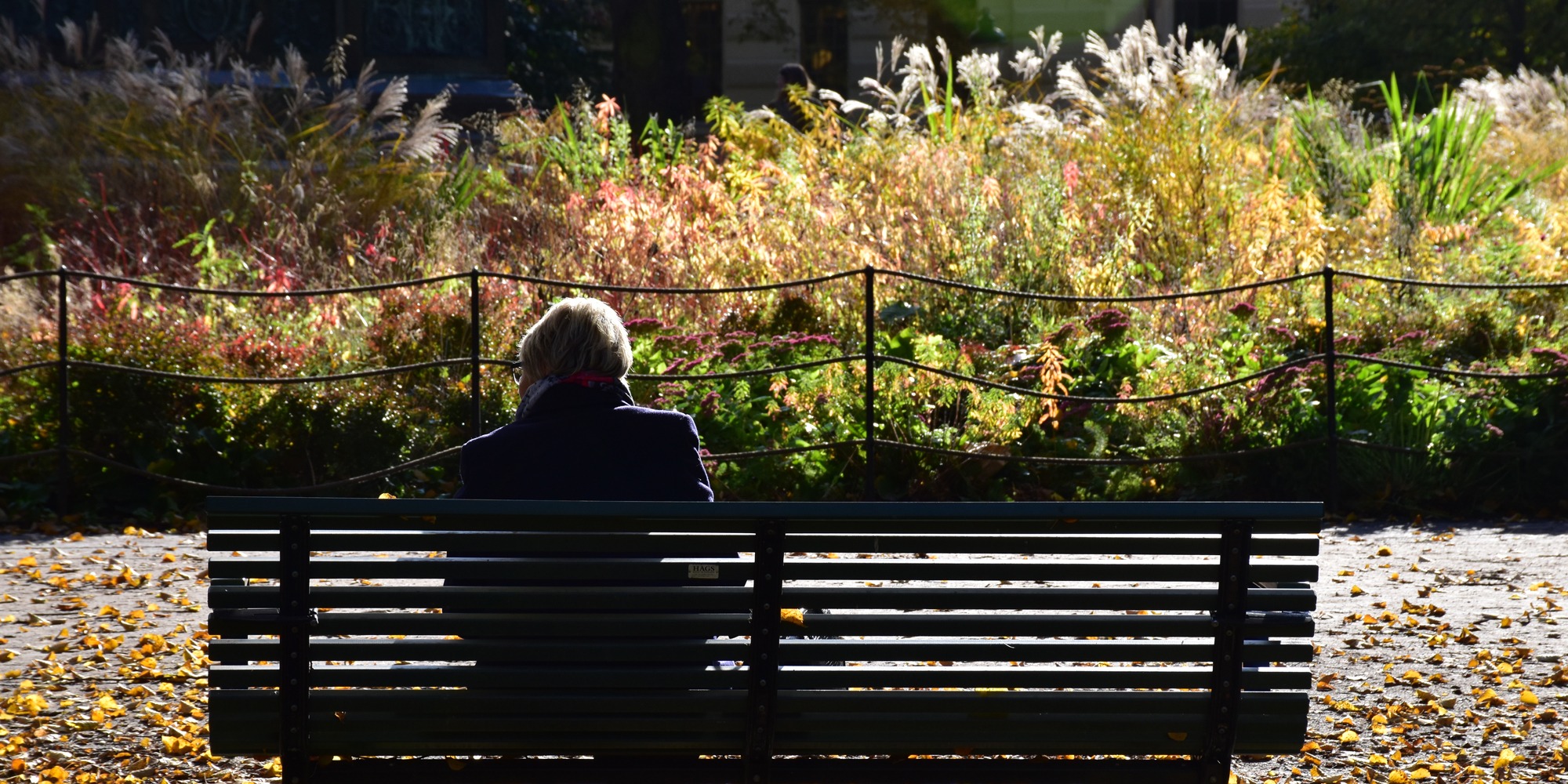 En kvinna vilar på en parkbänk framför en rabatt med höstväxter, med ryggen mot kameran.