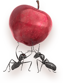 Två myror bär ett rött äpple ovanför sig.
