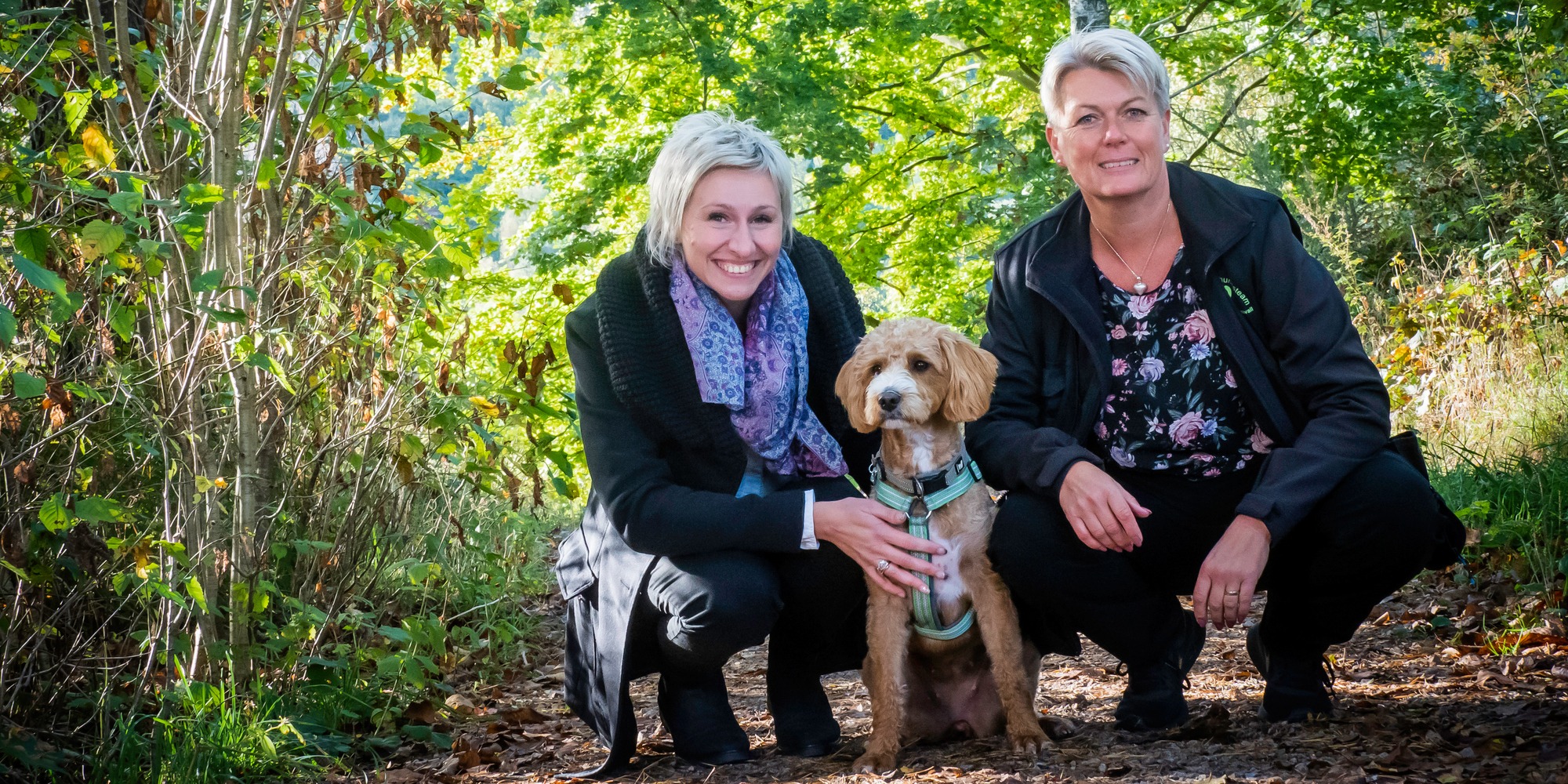 Hr-hunden, hr-specialisten och en medarbetare ute i skogen