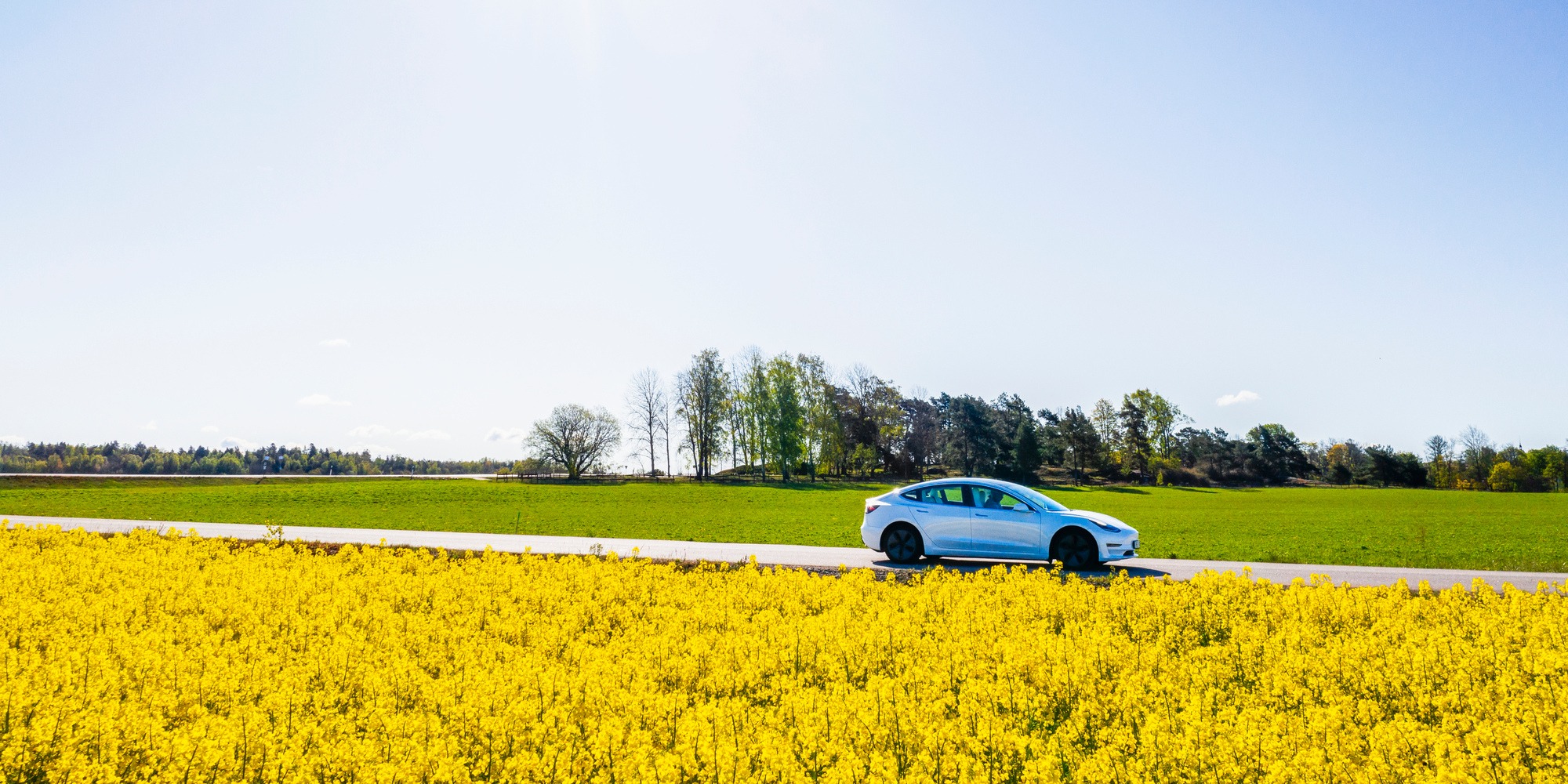 Bil kör i vackert landskap med rapsfält.