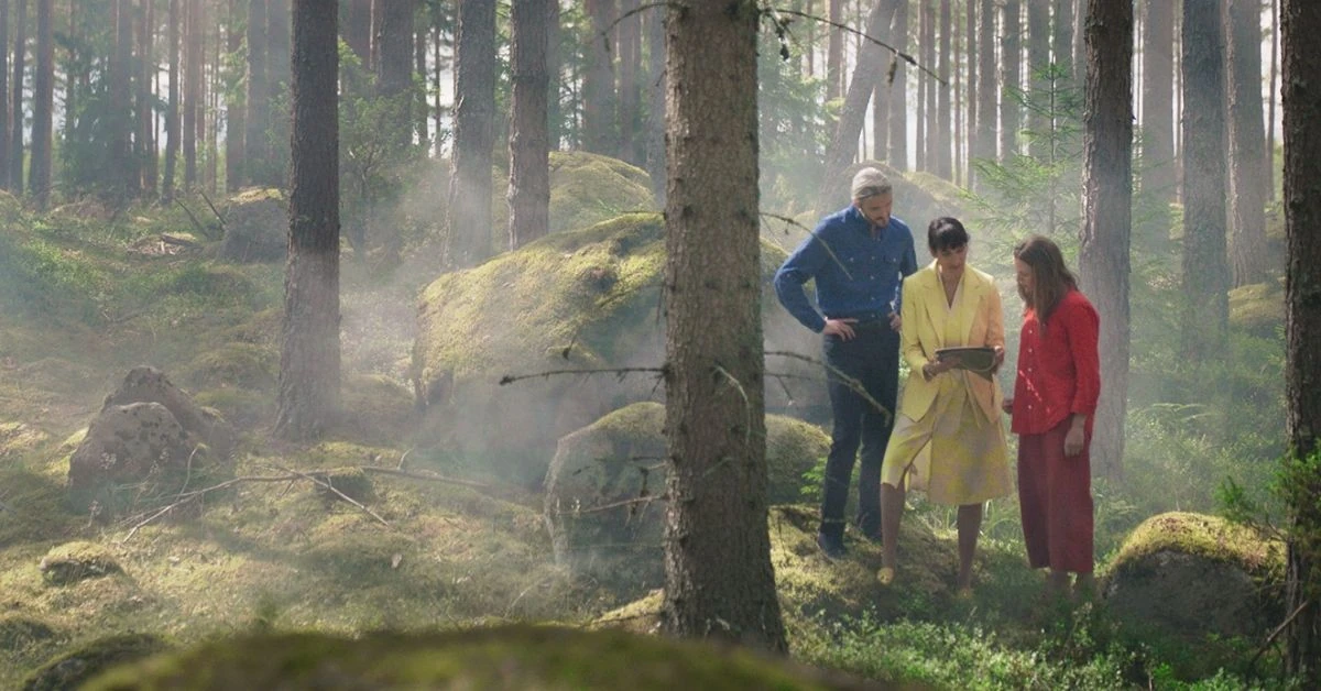 Tre personer som tittar på en karta i en gles skog med dimma.