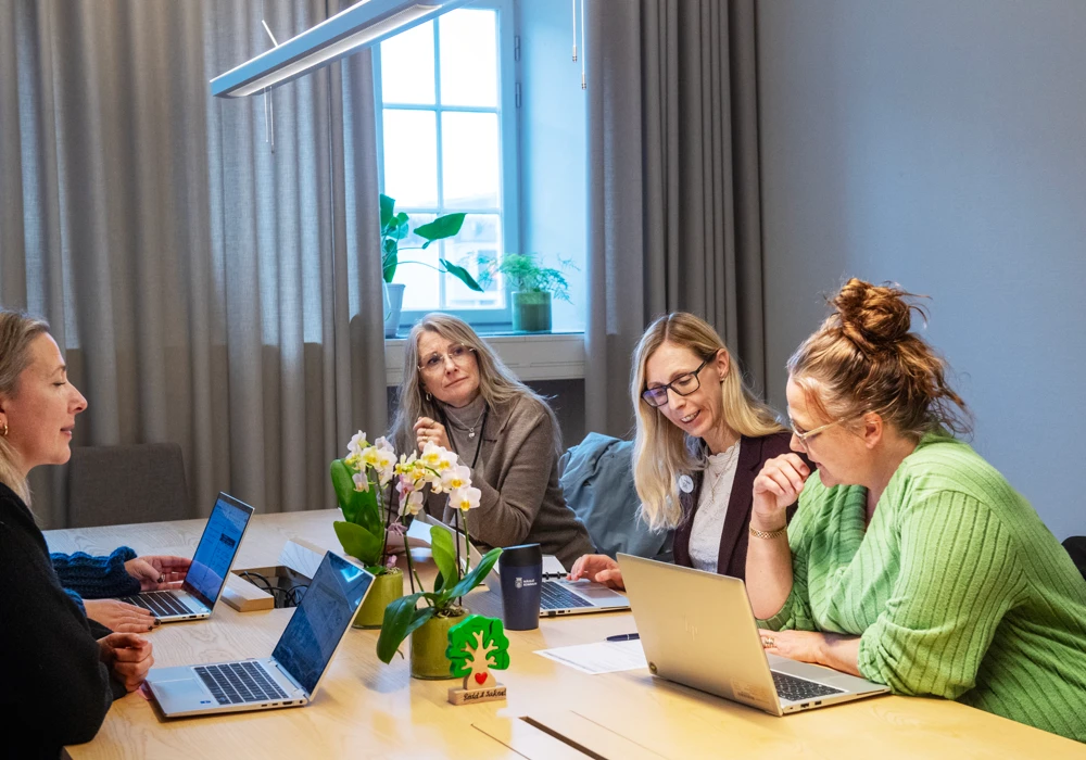 En grupp kvinnor sitter runt ett bord och arbetar med bärbara datorer, tema chefers arbetsmiljö.