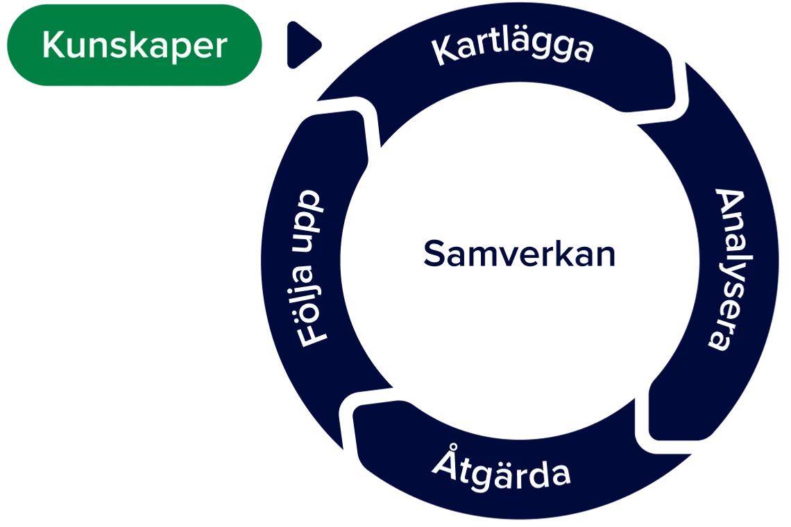 Illustration av SAM-hjulet. En Cirkel uppdelad i fyra delar som visar stegen i det systematiska arbetsmiljöarbetet: undersöka, riskbedöma, åtgärda, följa upp. Pilarna mellan delarna visar att processen är ett ständigt pågående kretslopp. I mitten av cirkeln står det samverkan.