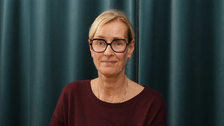 Petra Salino, Suntarbetsliv.