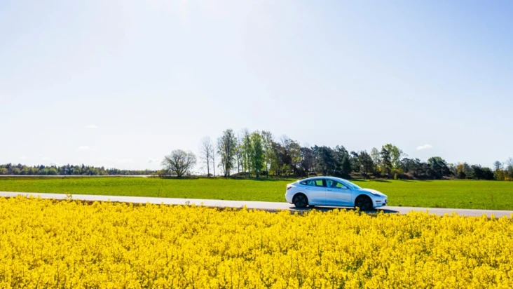 En vit bil som k&ouml;r p&aring; en v&auml;g bredvid ett f&auml;lt med gula blommor.