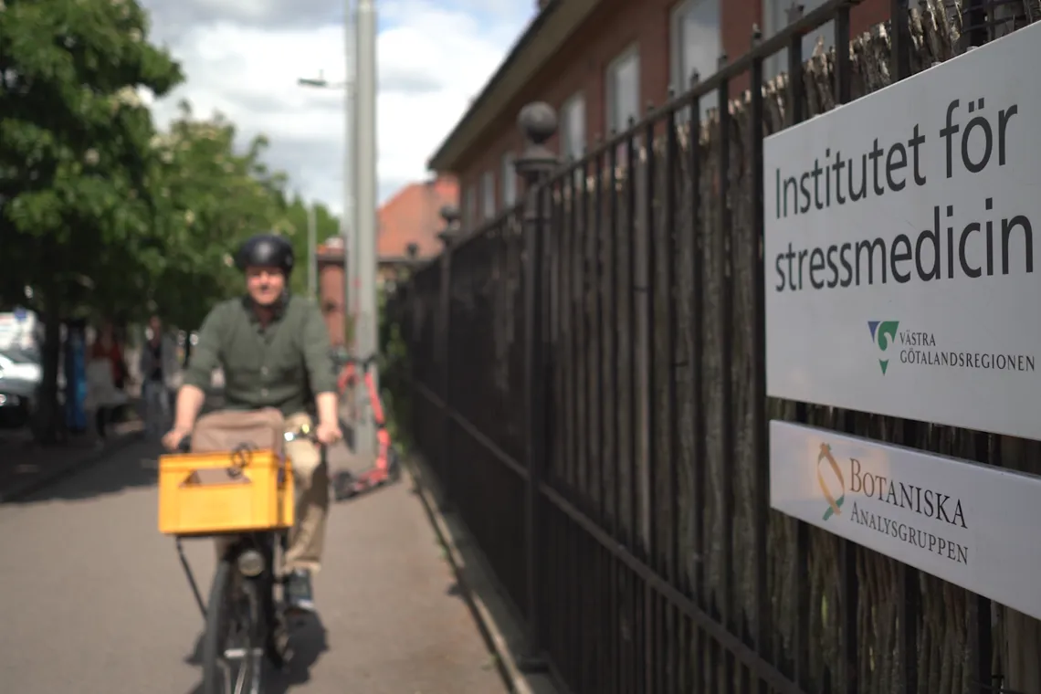 En man cyklar l&auml;ngs en gata intill ett staket.