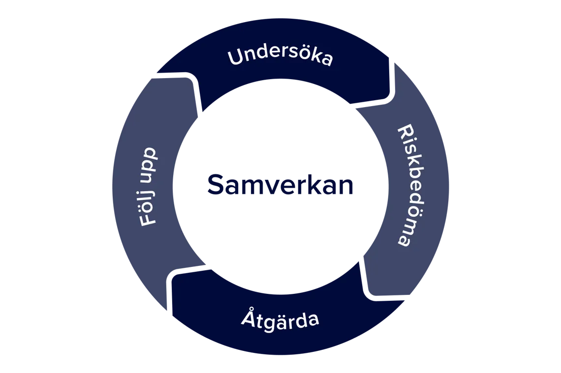 Grafisk bild av en cirkulär process med stegen undersöka, riskbedöma, åtgärda och följa upp. 